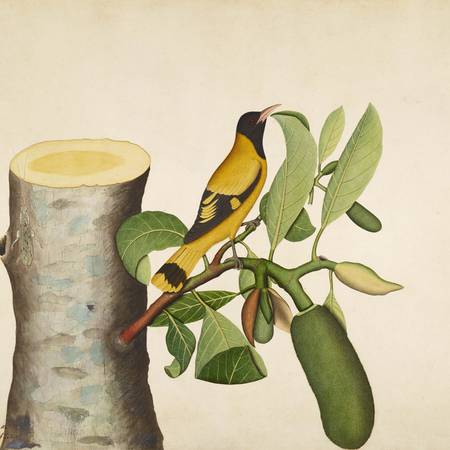A painting of a bird on a tree branch