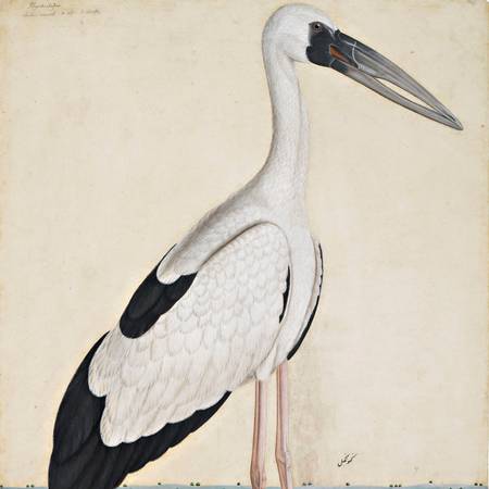 A painting of a stork