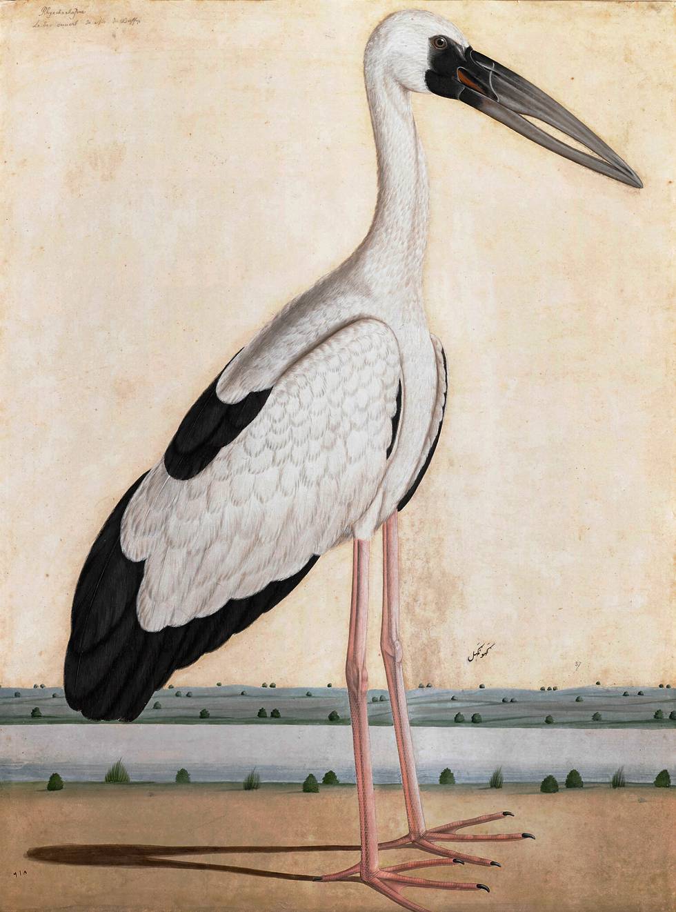 A painting of a stork